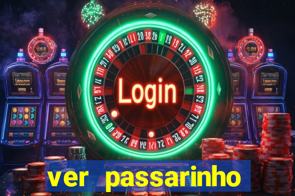 ver passarinho morto significado